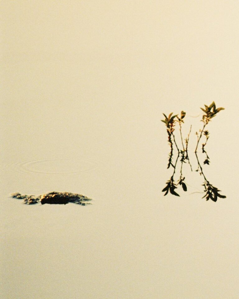 Viktor Flume Stiltje 09-2