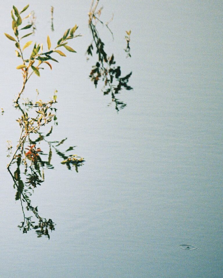 Viktor Flume Stiltje-16-2